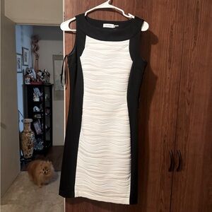 Calvin Klein Black and White Dress